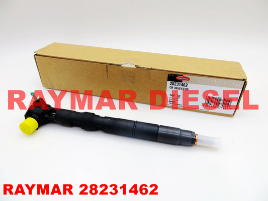 28231462 Delphi Common Rail Fuel Injector For Volkswagen